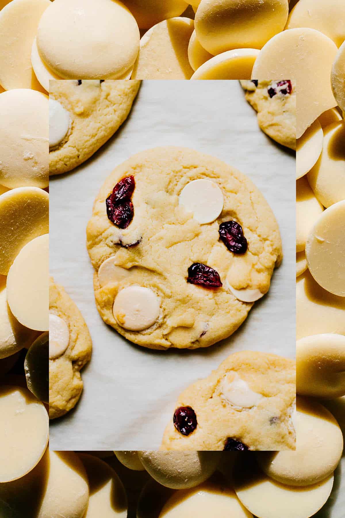 White chocolate dried cherry cookies, with a border of white chocolate.