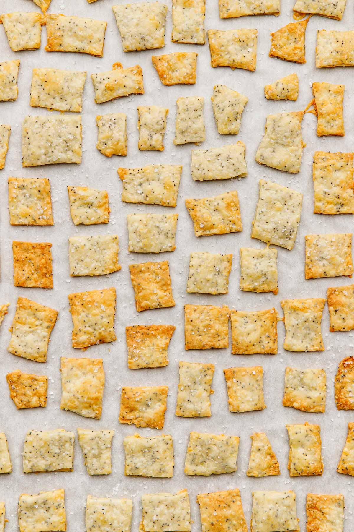 Dozens of small crackers on parchment paper.
