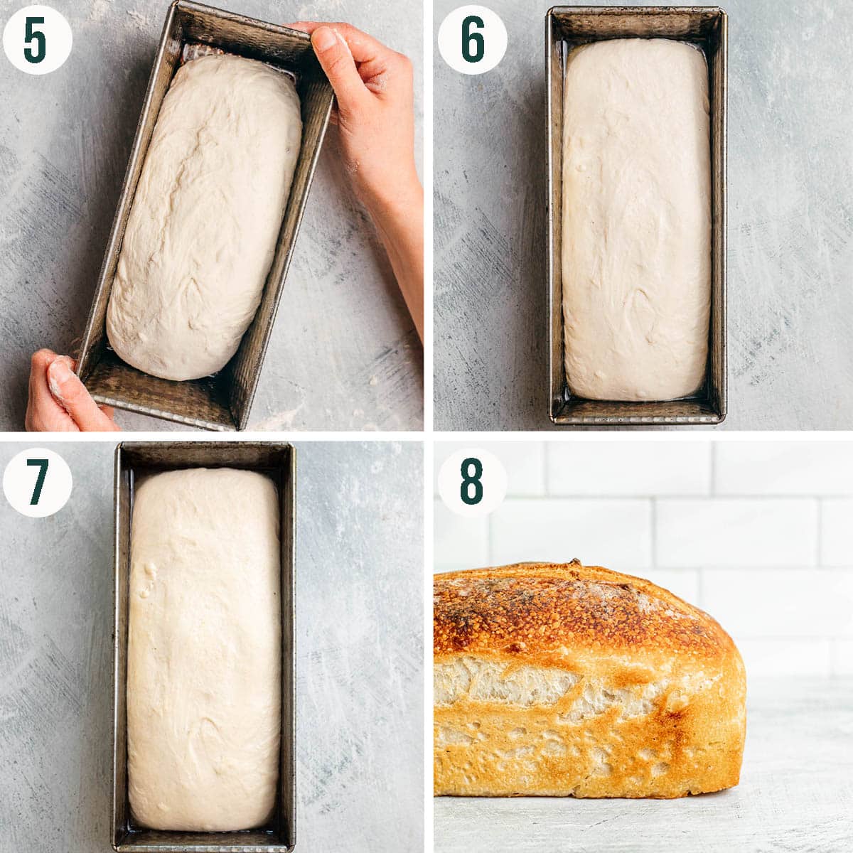 Pan loaf steps 5 to 8, before and after rising, and after baking.
