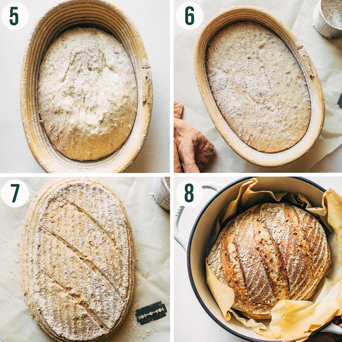 Sourdough steps 5 to 8, before and after rising in the banneton, scored bread, and after baking.