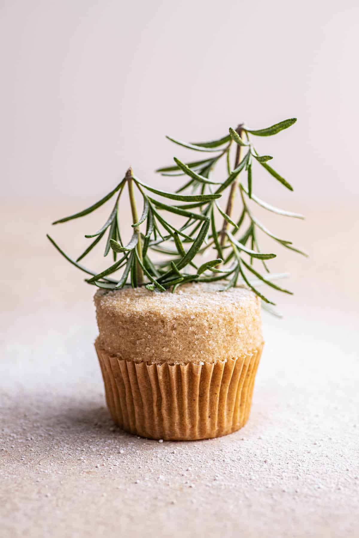 A cupcake topped with buttercream and rosemary trees.