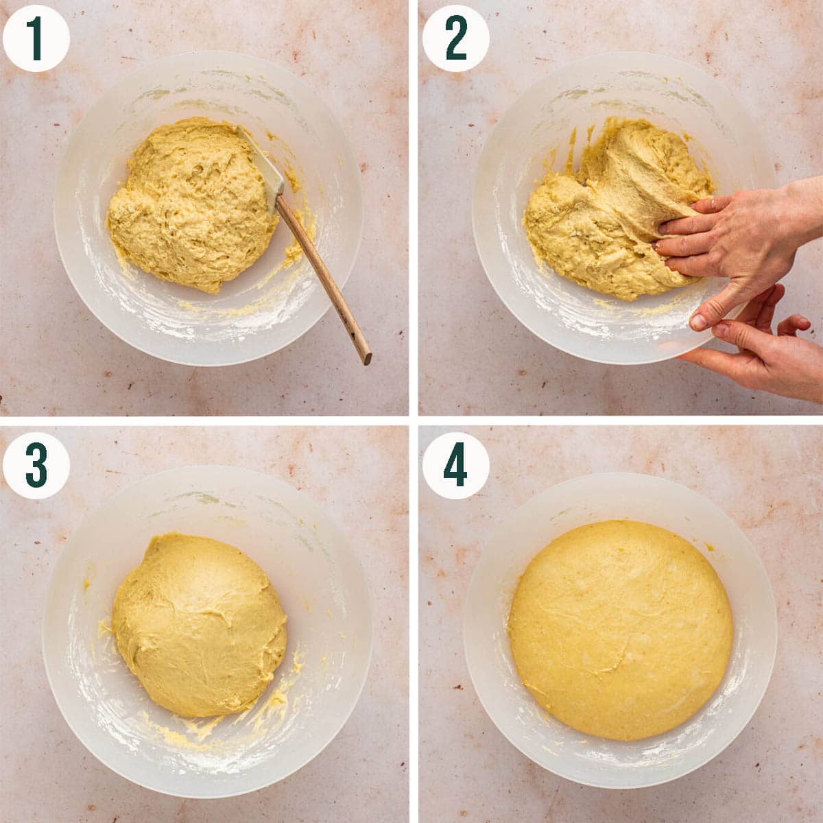 Sweet sourdough dough steps 1 to 4, mixed dough and before and after rising.