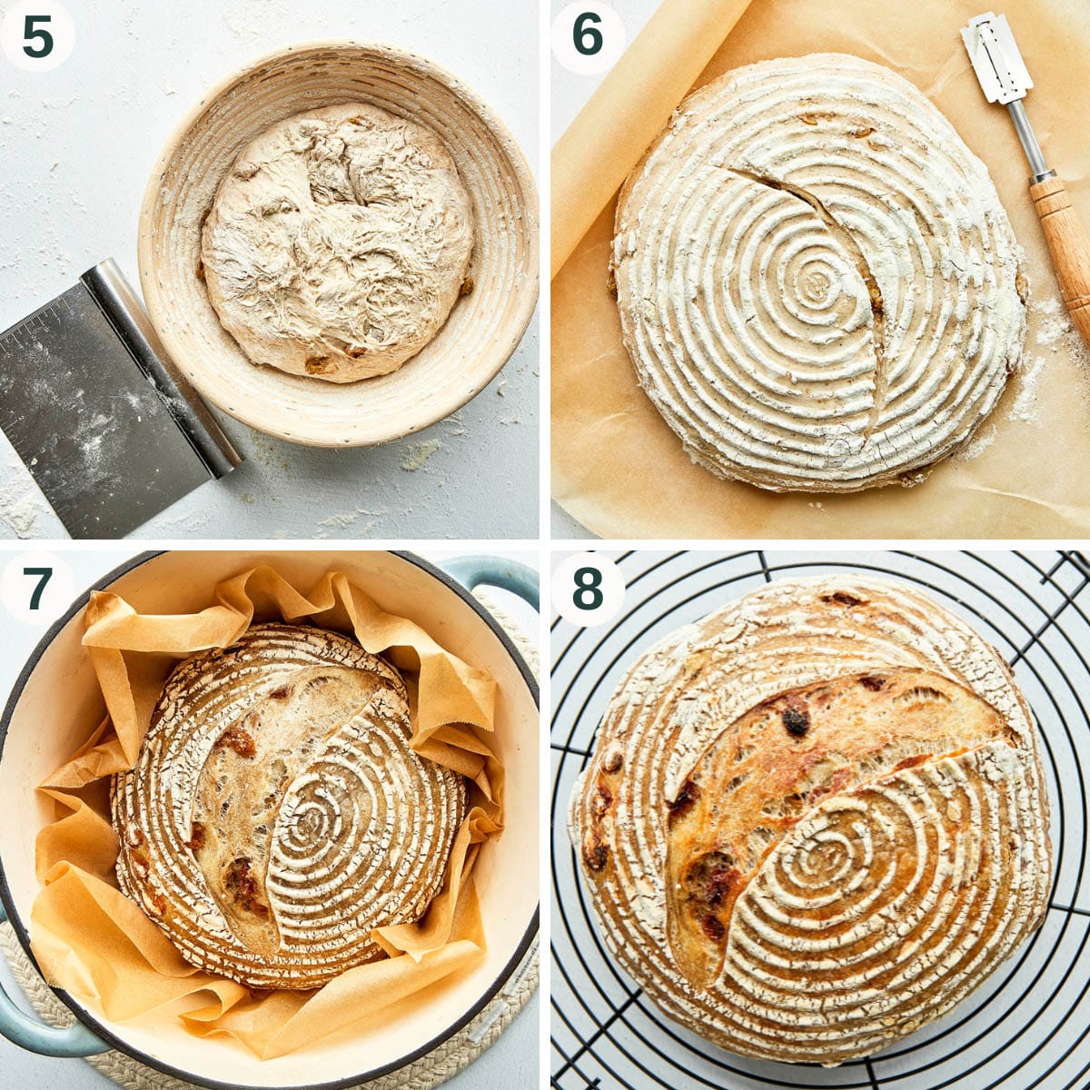 Sourdough bread steps 5 to 8, in the banneton, scored, before and after baking.