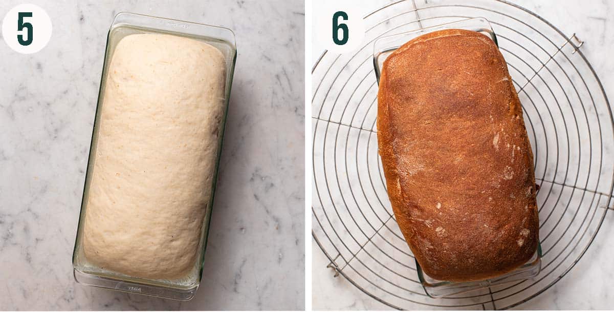 Sandwich bread steps 5 and 6, before and after baking.