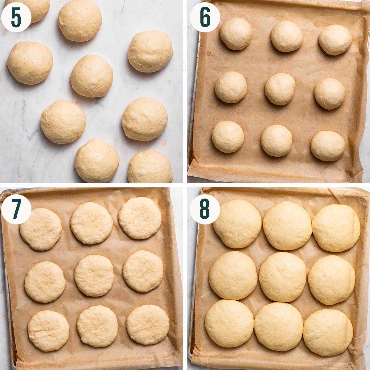 Buns steps 5 to 8, shaped into balls, before and after pressing, and after second rise.