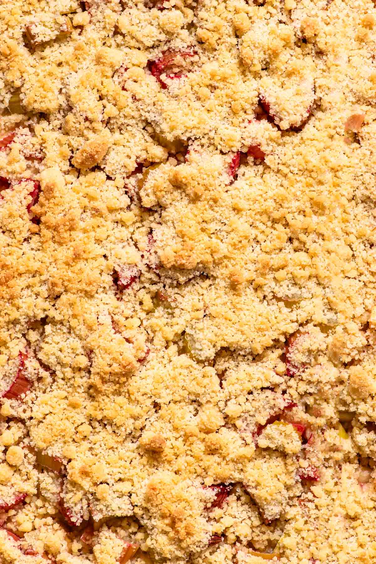 Close up of crumb-topped rhubarb cake.