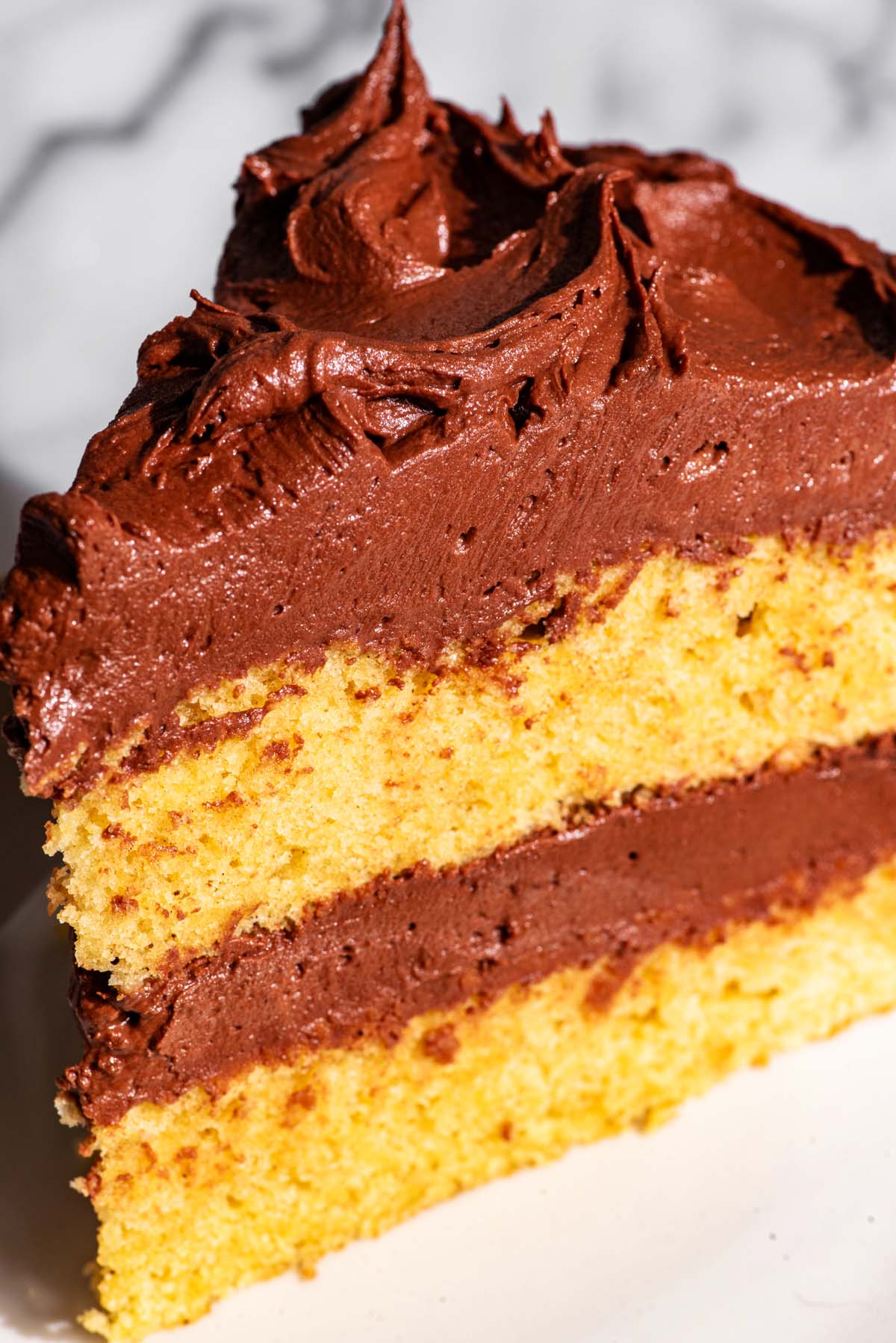 Close up of a yellow layer cake with chocolate frosting.