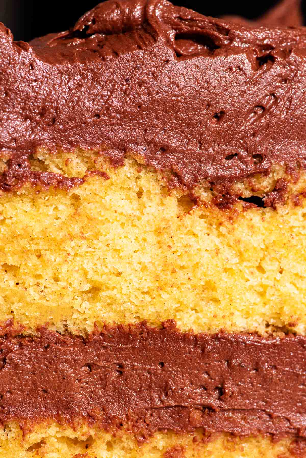 Close up of yellow cake and chocolate frosting layers.